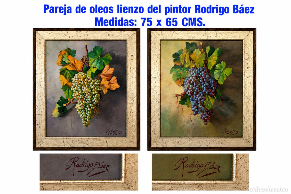 Arte: Pareja de oleos sobre lienzo del pintor Rodrigo B&aacute;ez