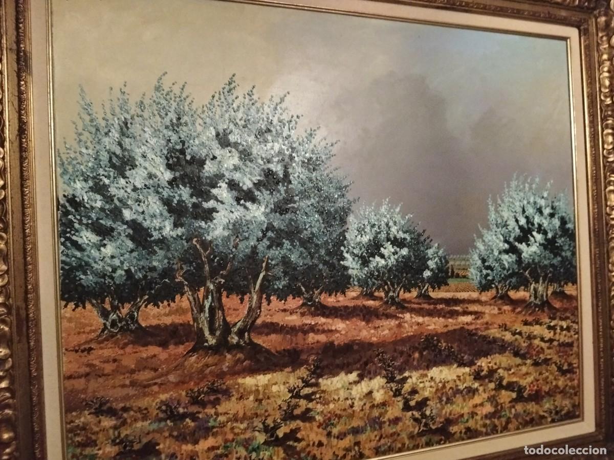 Arte: Magn&iacute;fico Oleo Original de Jos&eacute; Daroca (1932_2013)&rdquo; Les Olives&rdquo; 100x81 (enmarcada)