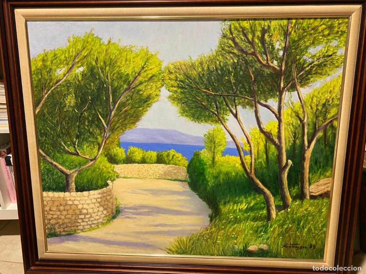 Arte: &Oacute;leo sobre lienzo - Pepe Montenegro (Elche) - Paisaje mediterr&aacute;neo con mar y pinos - 81 x 100 cm