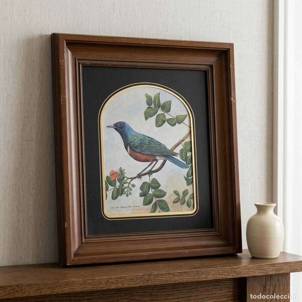 Arte: CUADRO DECORATIVO DE UN P&Aacute;JARO