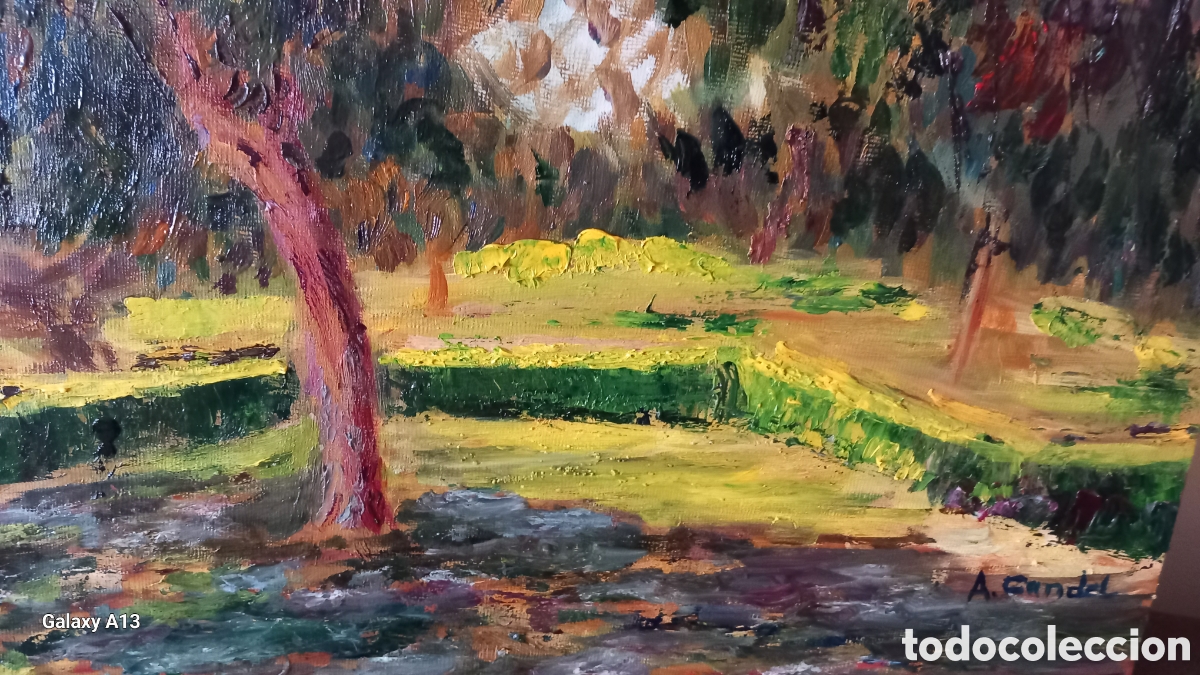 Arte: &Oacute;leo Jard&iacute;n del turia vlc - Foto 4