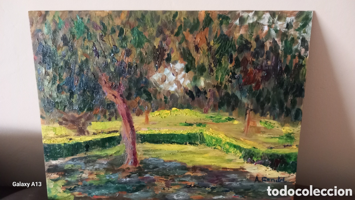 Arte: &Oacute;leo Jard&iacute;n del turia vlc - Foto 1