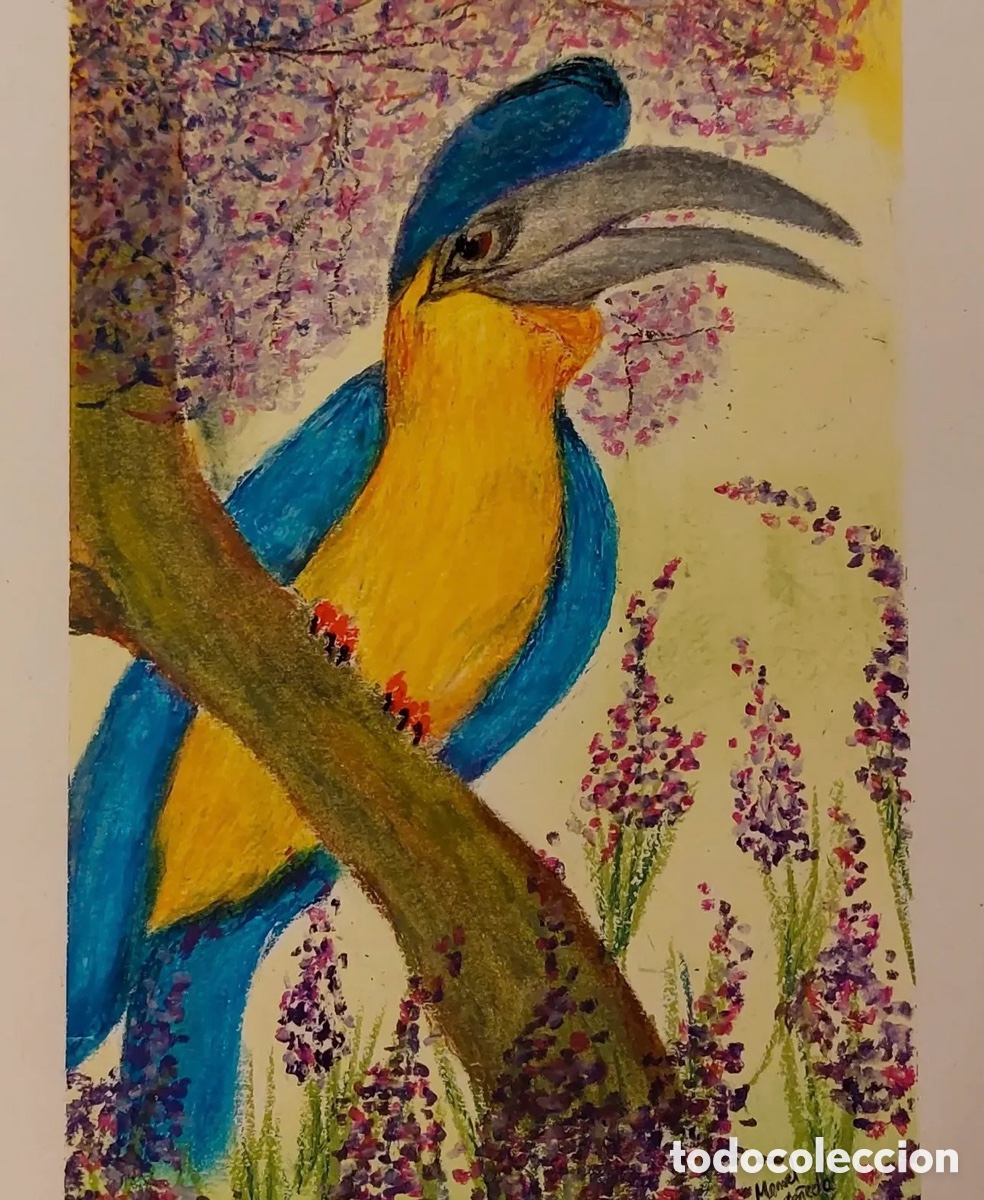 Arte: Pintura de ave al &oacute;leo pastel.