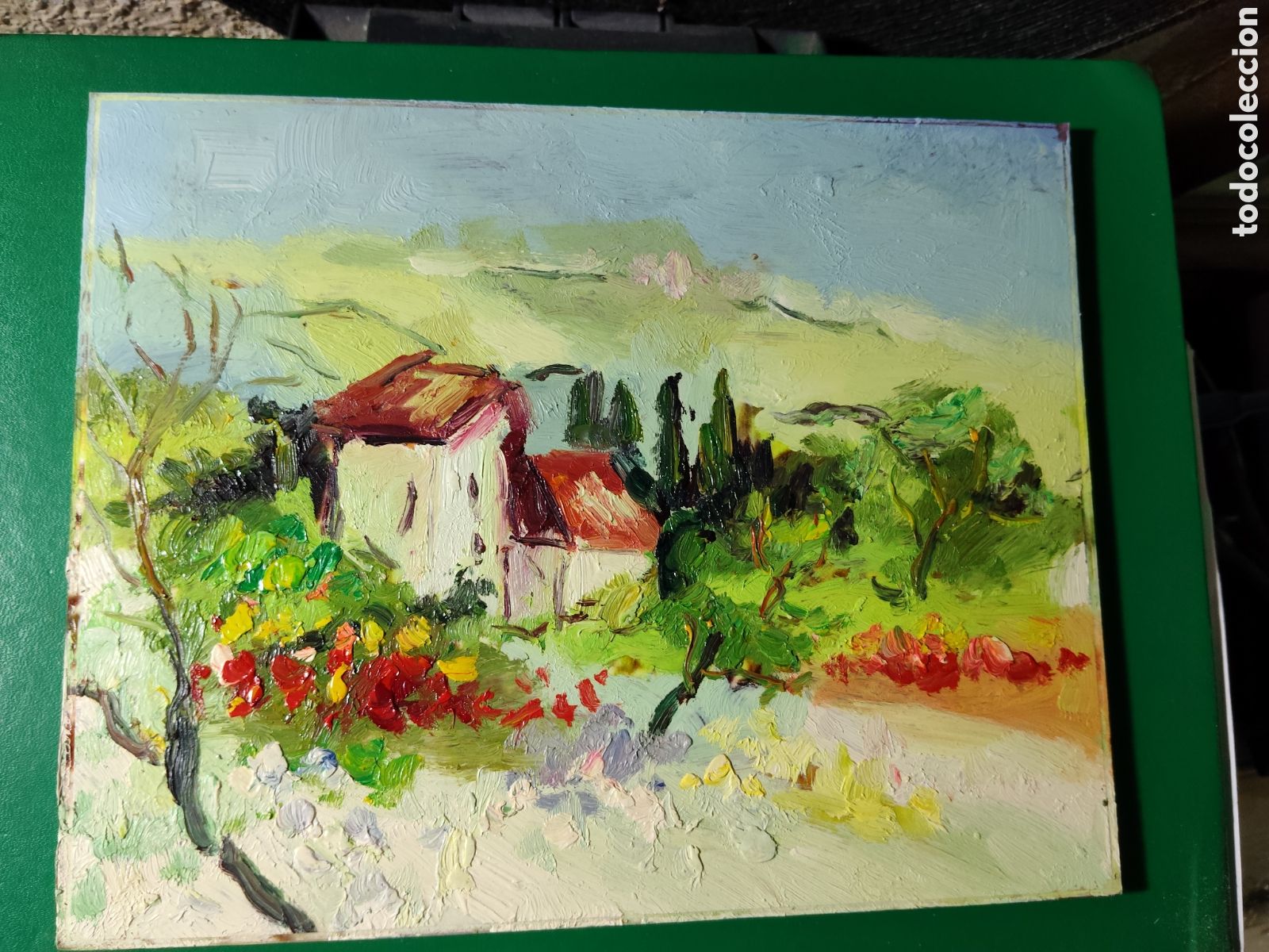 Arte: OLEO PINTADO A MANO 25X20 AUTOR DESCONOCIDO