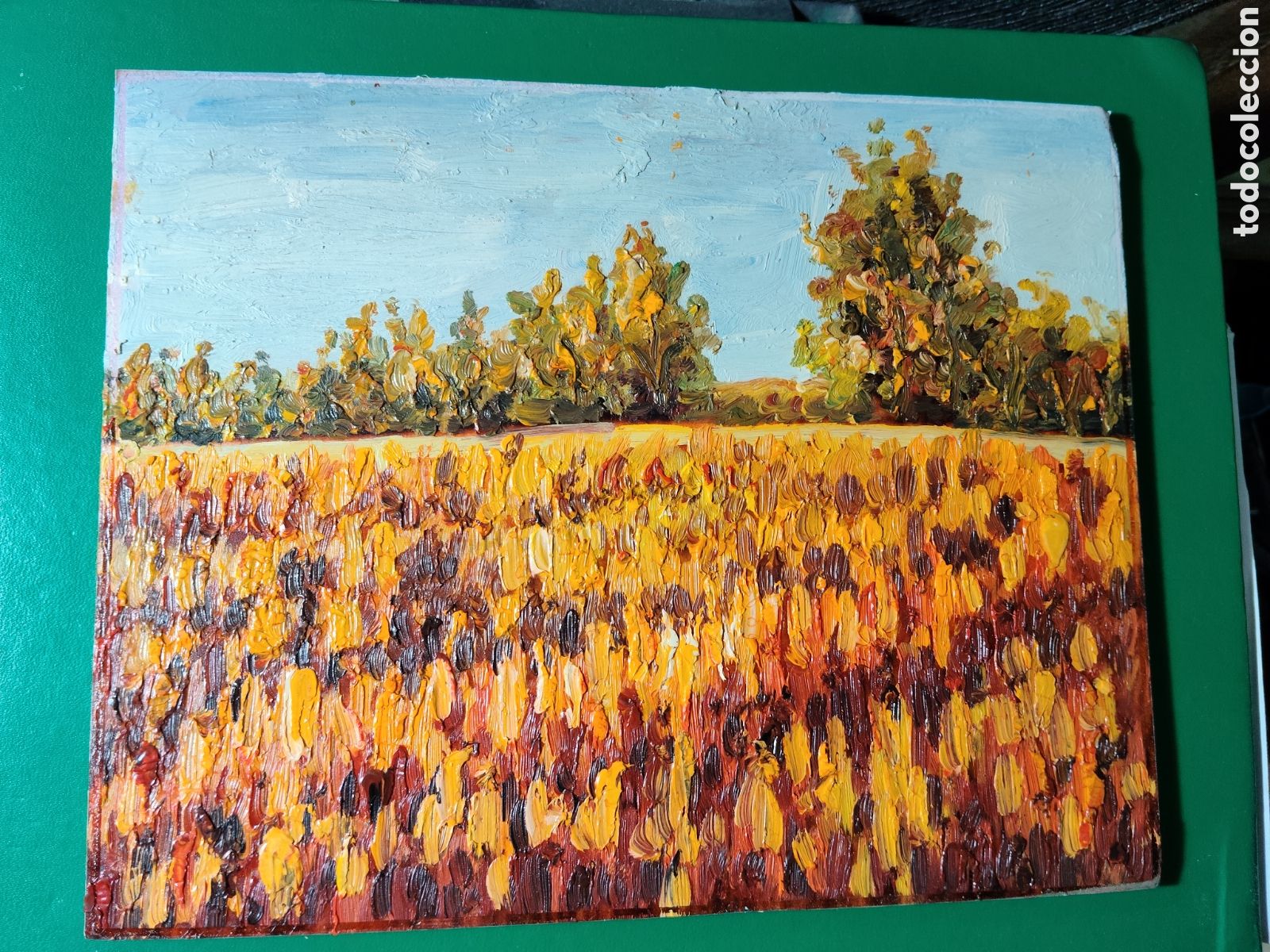 Arte: OLEO PINTADO A MANO 25X20 AUTOR DESCONOCIDO