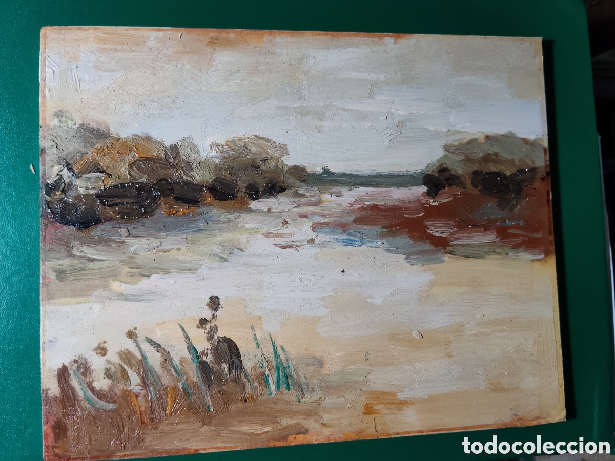 Arte: OLEO PINTADO A MANO 25X20 AUTOR DESCONOCIDO