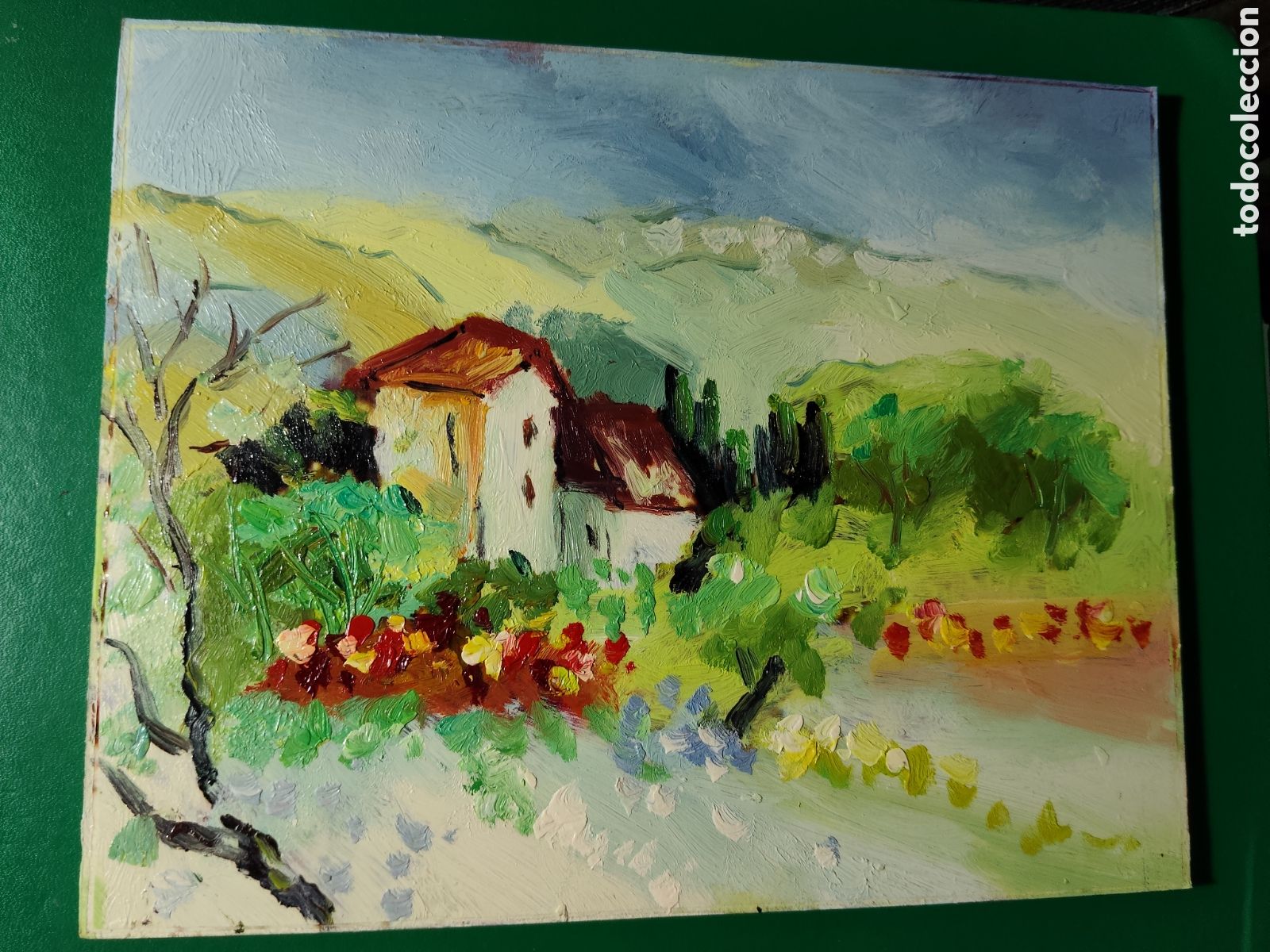 Arte: OLEO PINTADO A MANO 25X20 AUTOR DESCONOCIDO