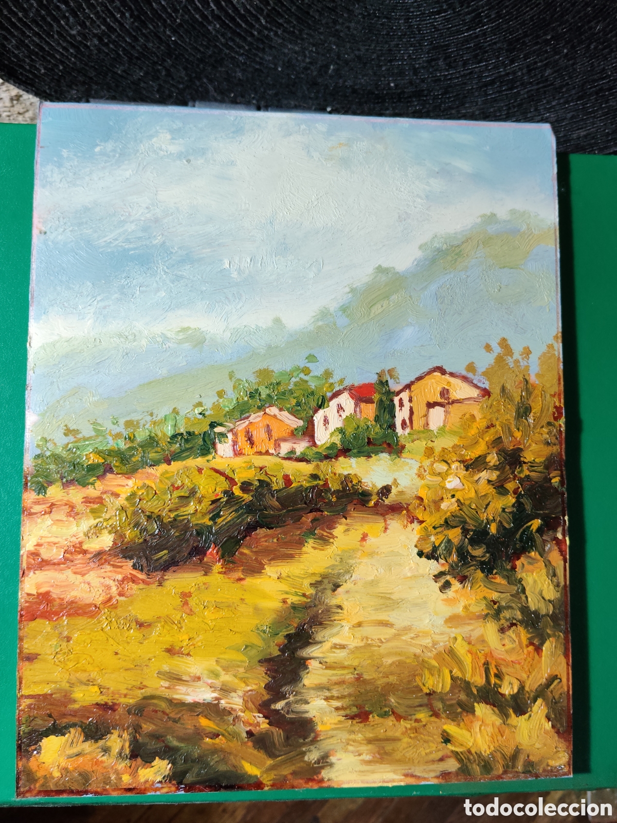 Arte: OLEO PINTADO A MANO 25X20 AUTOR DESCONOCIDO