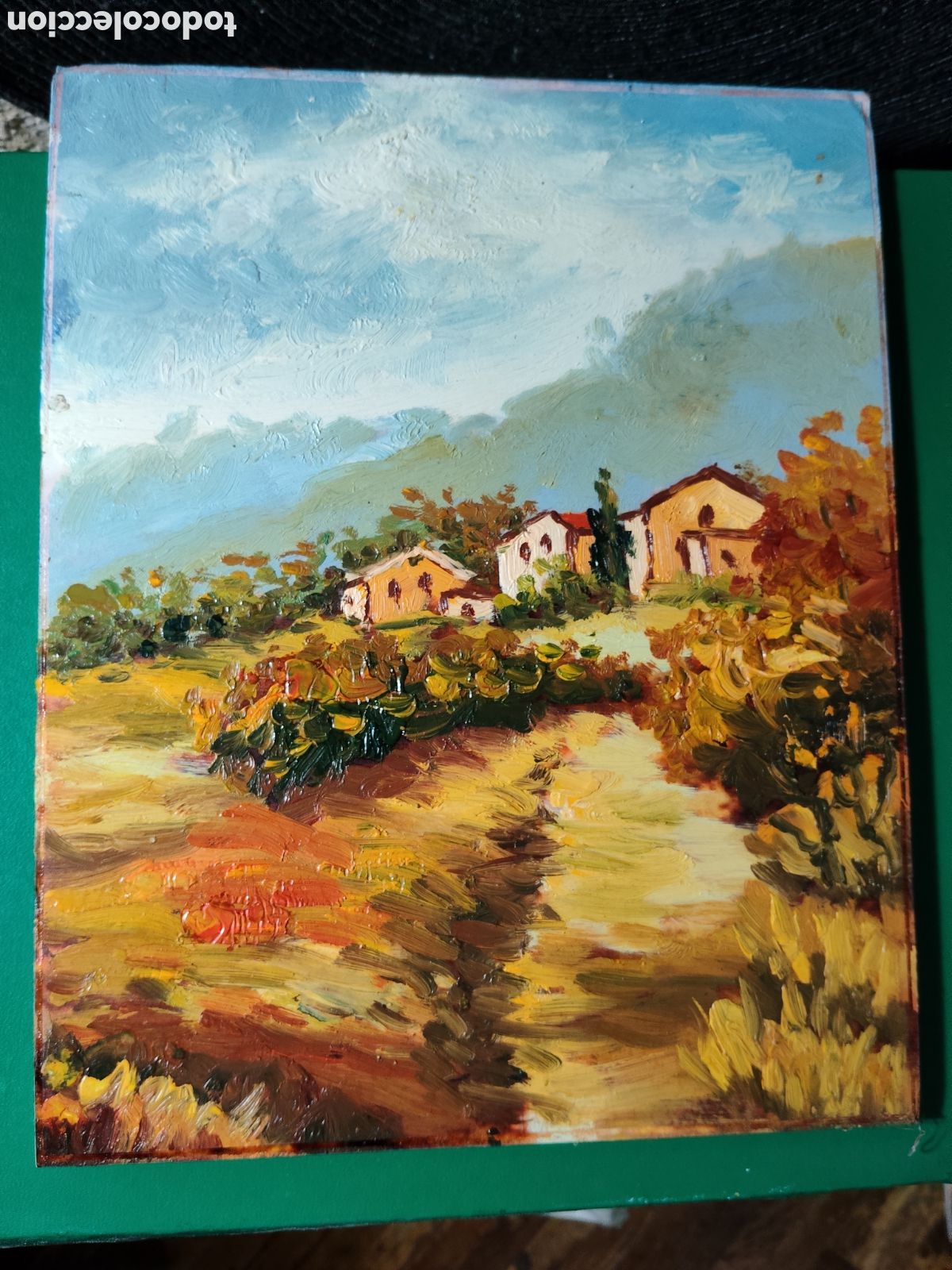 Arte: OLEO PINTADO A MANO 25X20 AUTOR DESCONOCIDO