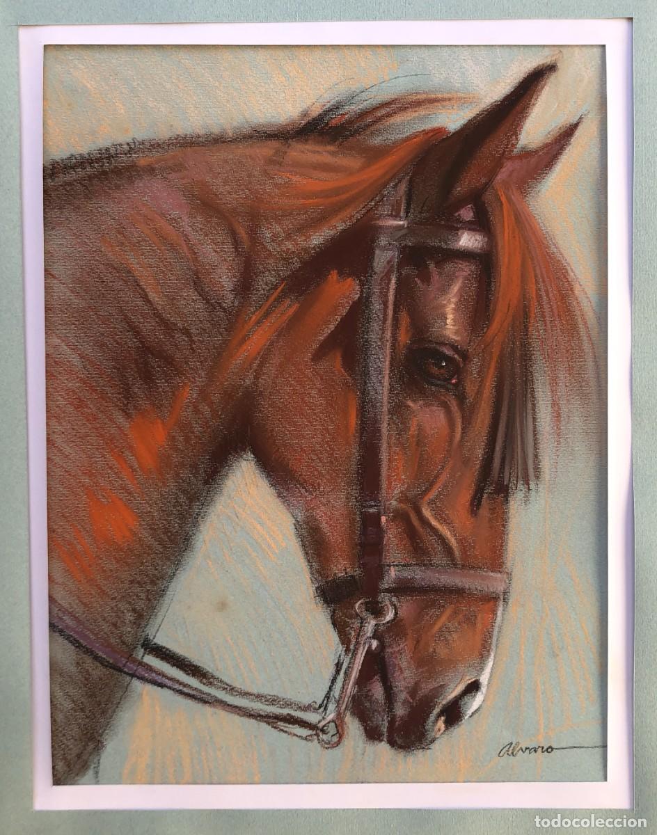 Arte: UNICO y ORIGINAL 1980's - Firmado - CABALLO - RETRATO EQUINO