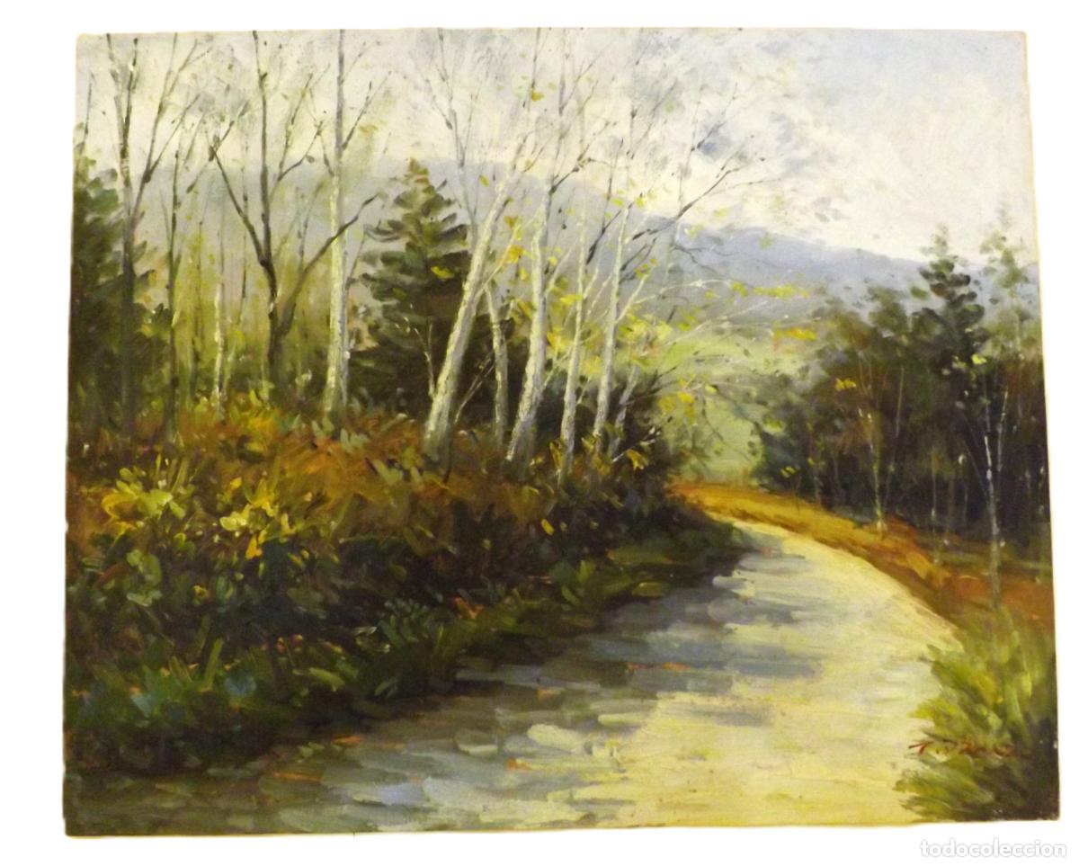 Arte: Oleo sobre lienzo pintura decorativa de Paisaje impresionista (Canvas)
