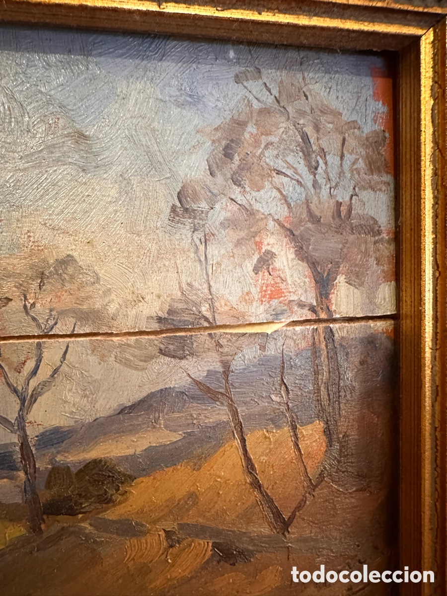 Arte: Par de &oacute;leos sobre tabla - Foto 4