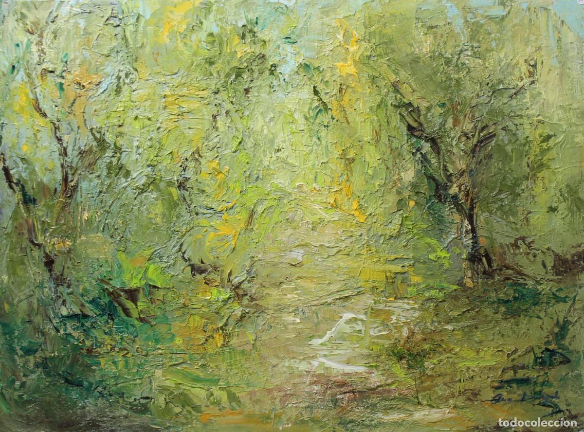 Arte: Arboleda - Ana Delgado - &Oacute;leo sobre lienzo