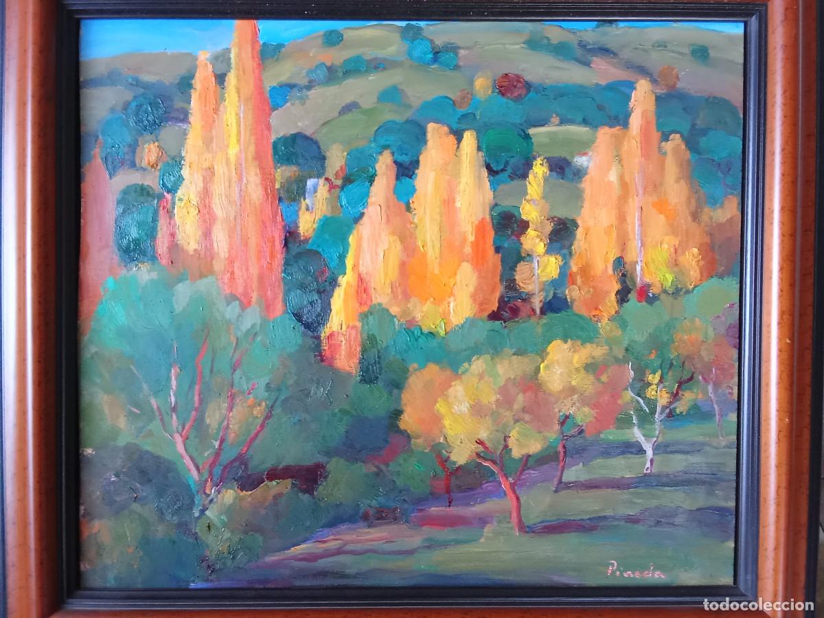 Arte: ANTONIO PINEDA SALMERON - LUZ DE TARDE- ALPUJARRA DE GRANADA-