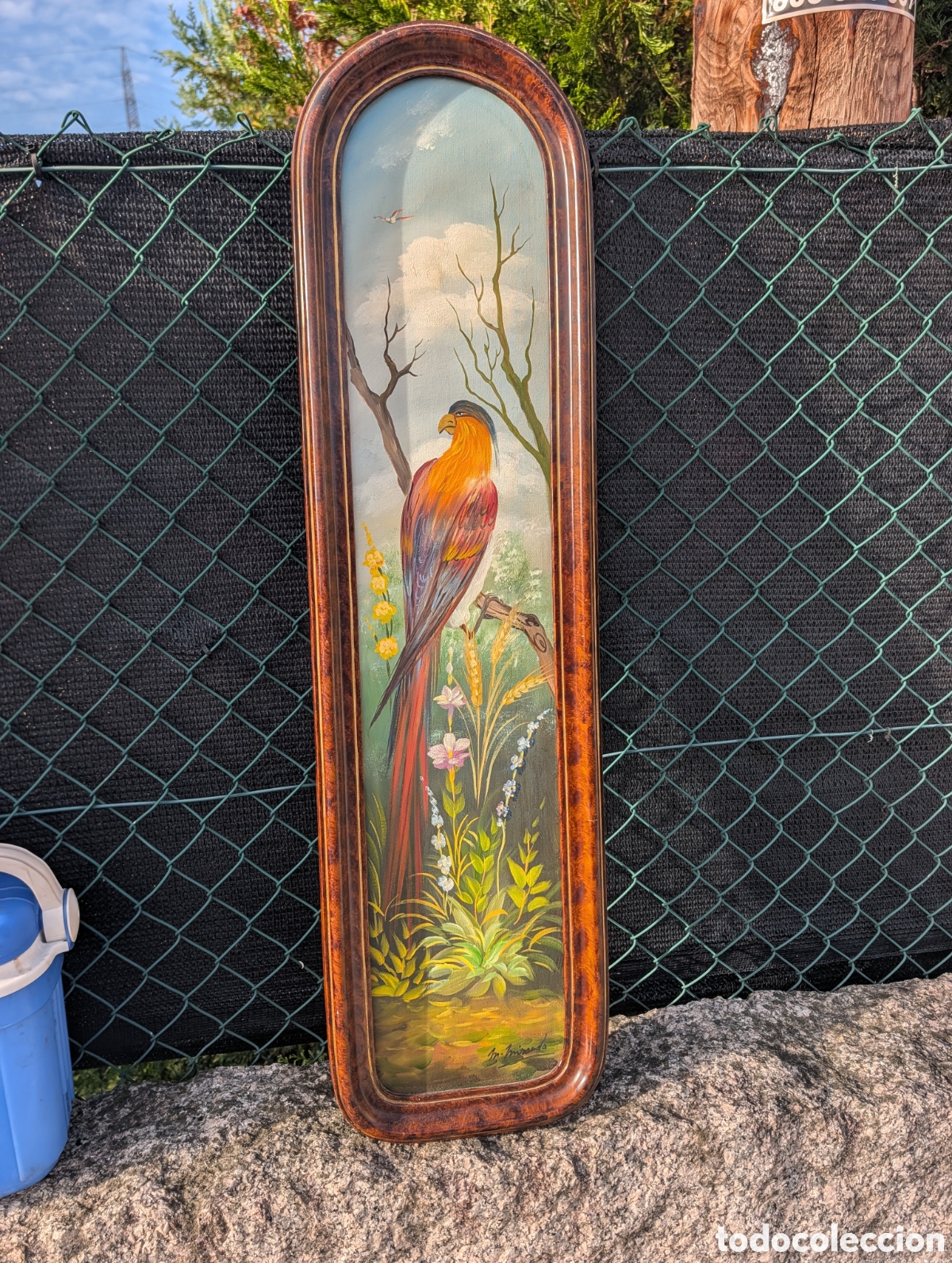 Arte: &Oacute;leo sobre lienzo vintage - P&aacute;jaro ex&oacute;tico - Firmado M. Miranda - Enmarcado Giselarte