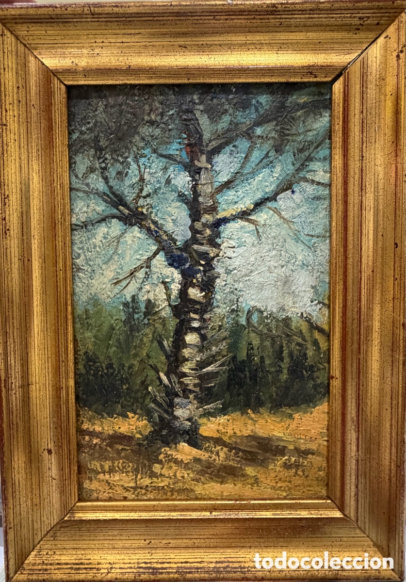 Arte: Miquel vill&aacute; i bassols
