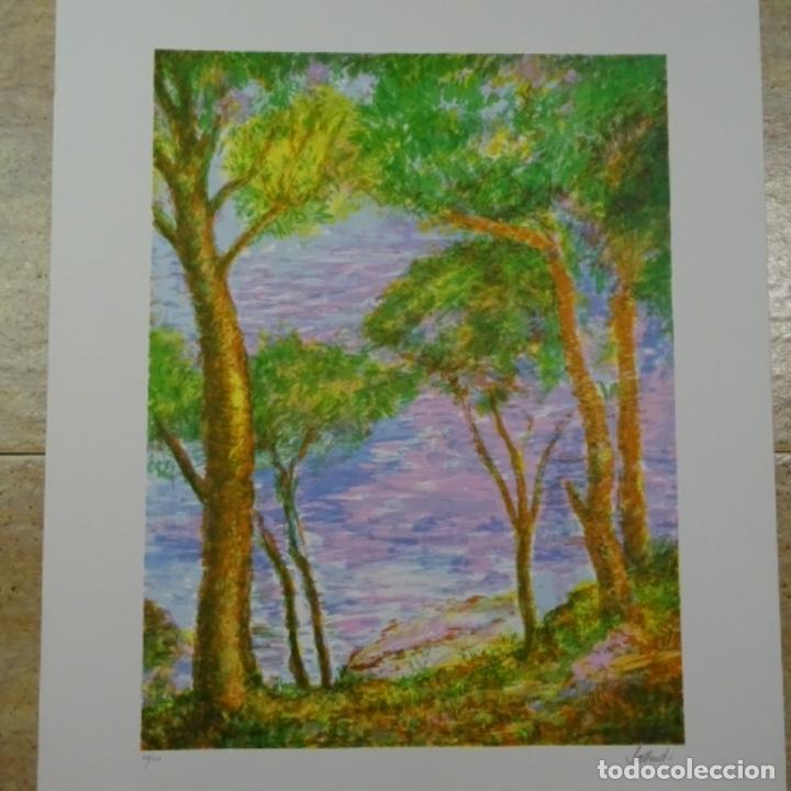 Arte: Litograf&iacute;a Sallent - Foto 1