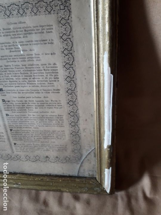 Arte: Oraci&oacute;n Latina - Foto 4