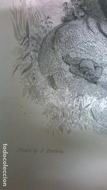 Arte: Grabado.Medida 26x37 cm. - Foto 3