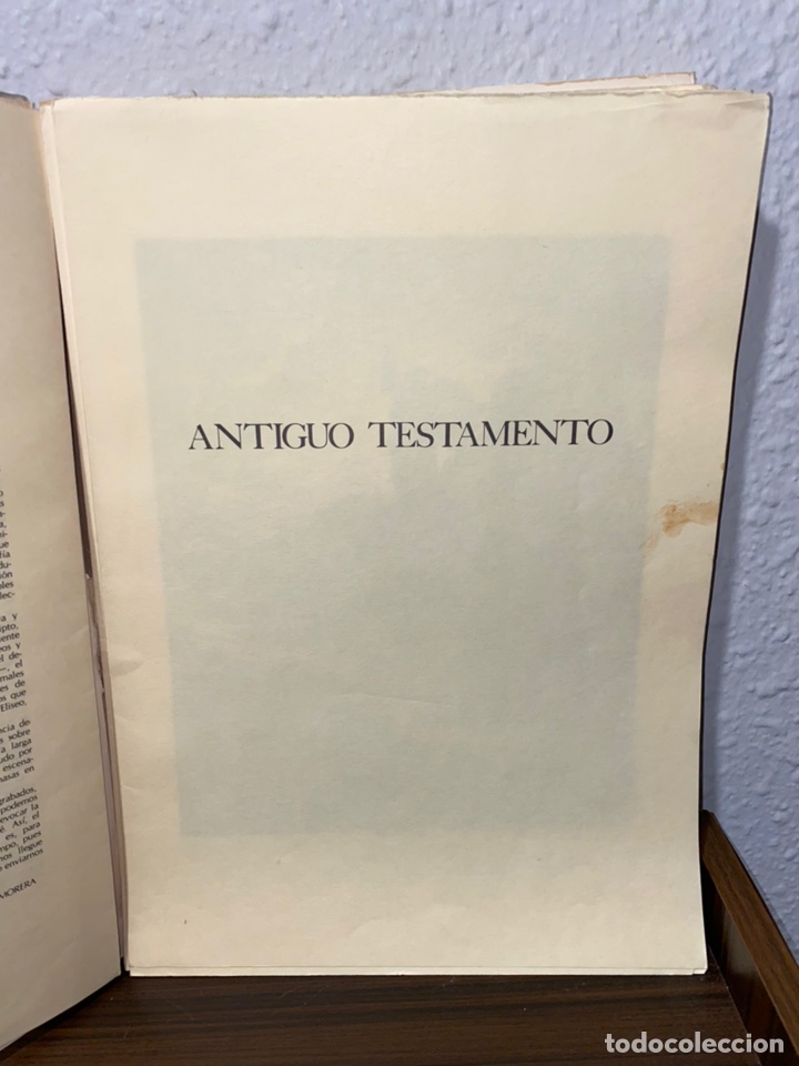 Arte: Gustavo Dor&eacute;, LA BIBLIA EN IM&Aacute;GENES - Foto 3