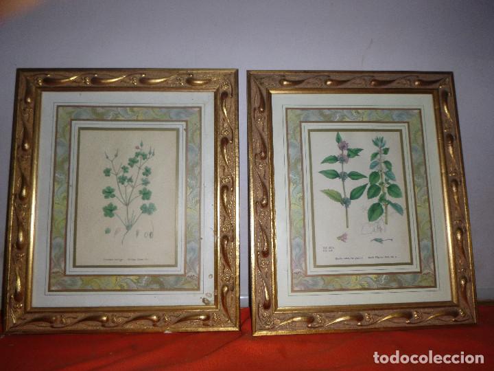Arte: DOS CUADROS DORADOS - Foto 1