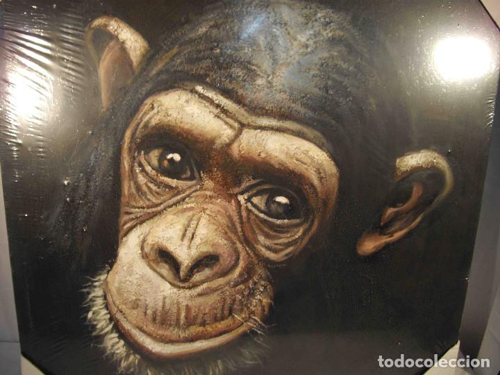 Arte: OLEO SOBRE LIENZO CHIMPANCES - Foto 2
