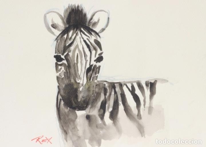 Arte: Cebra - Firmado Rex - Foto 1
