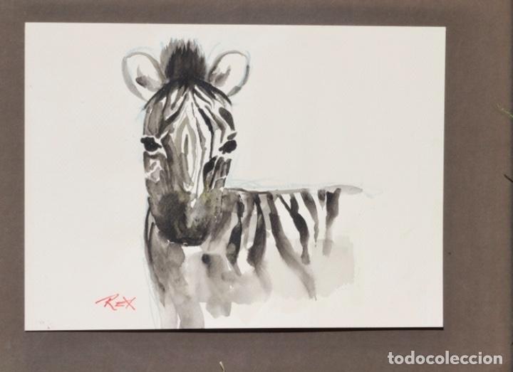 Arte: Cebra - Firmado Rex - Foto 2