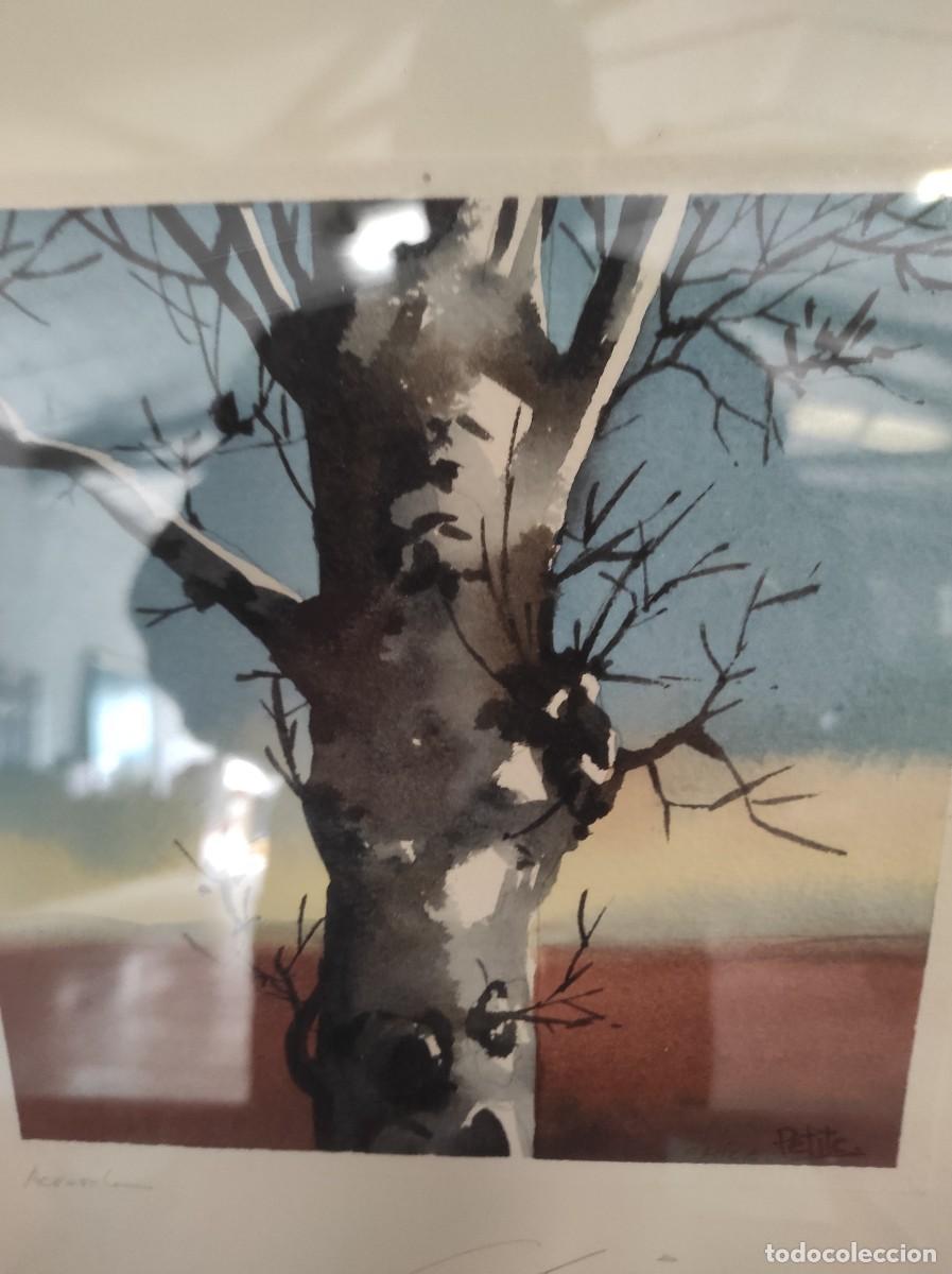 Arte: Acuarela firmada - Foto 1