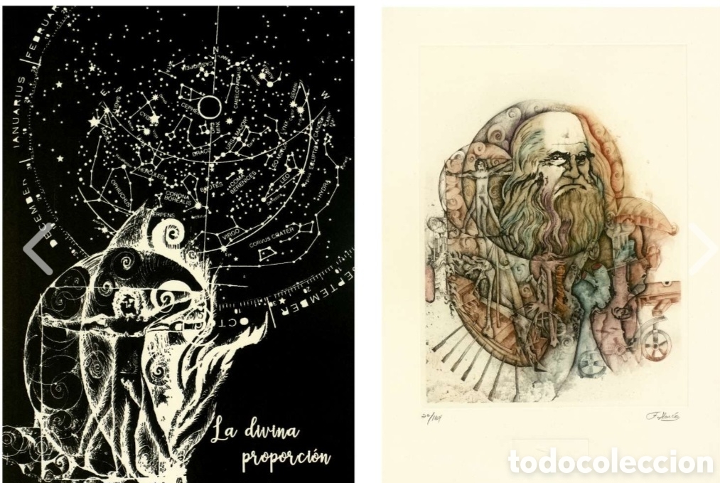 Arte: LEONARDO DA VINCI ARQUITECTO DEL UNIVERSO - Foto 10