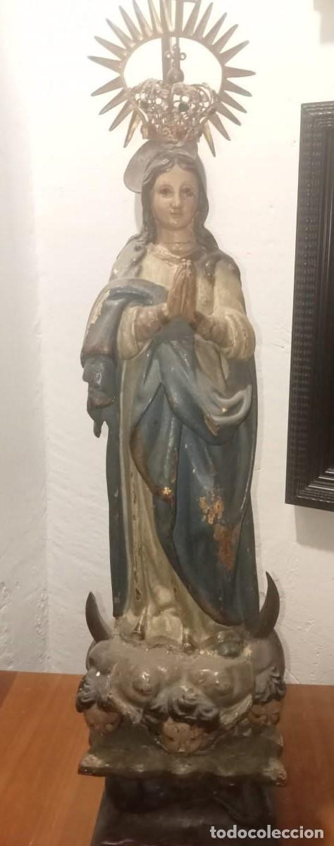Arte: VIRGEN INMACULADA EN MADERA MACIZA. POSIBLEMENTE BARROCA - Foto 2
