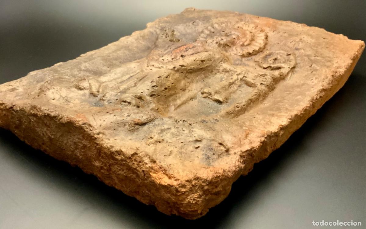 Arte: SAN NICOL&Aacute;S DE BARI PLACA DEVOCIONAL BARRO (s.XIX) - Foto 6