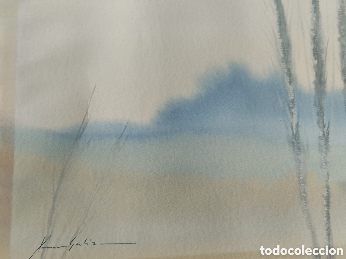 Arte: ACUARELA Xavier Galiza - Foto 4