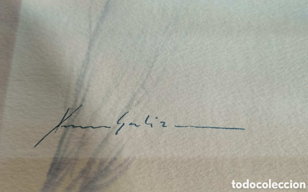 Arte: ACUARELA Xavier Galiza - Foto 2