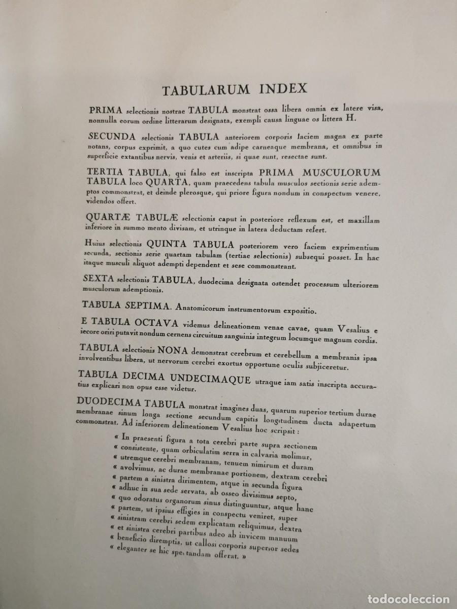 Arte: Andreae vesalii selectio tabularum XII - Foto 2