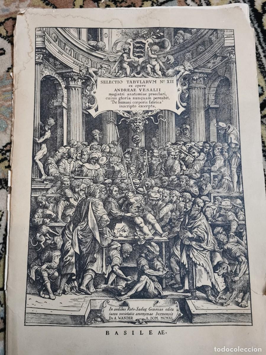 Arte: Andreae vesalii selectio tabularum XII - Foto 4