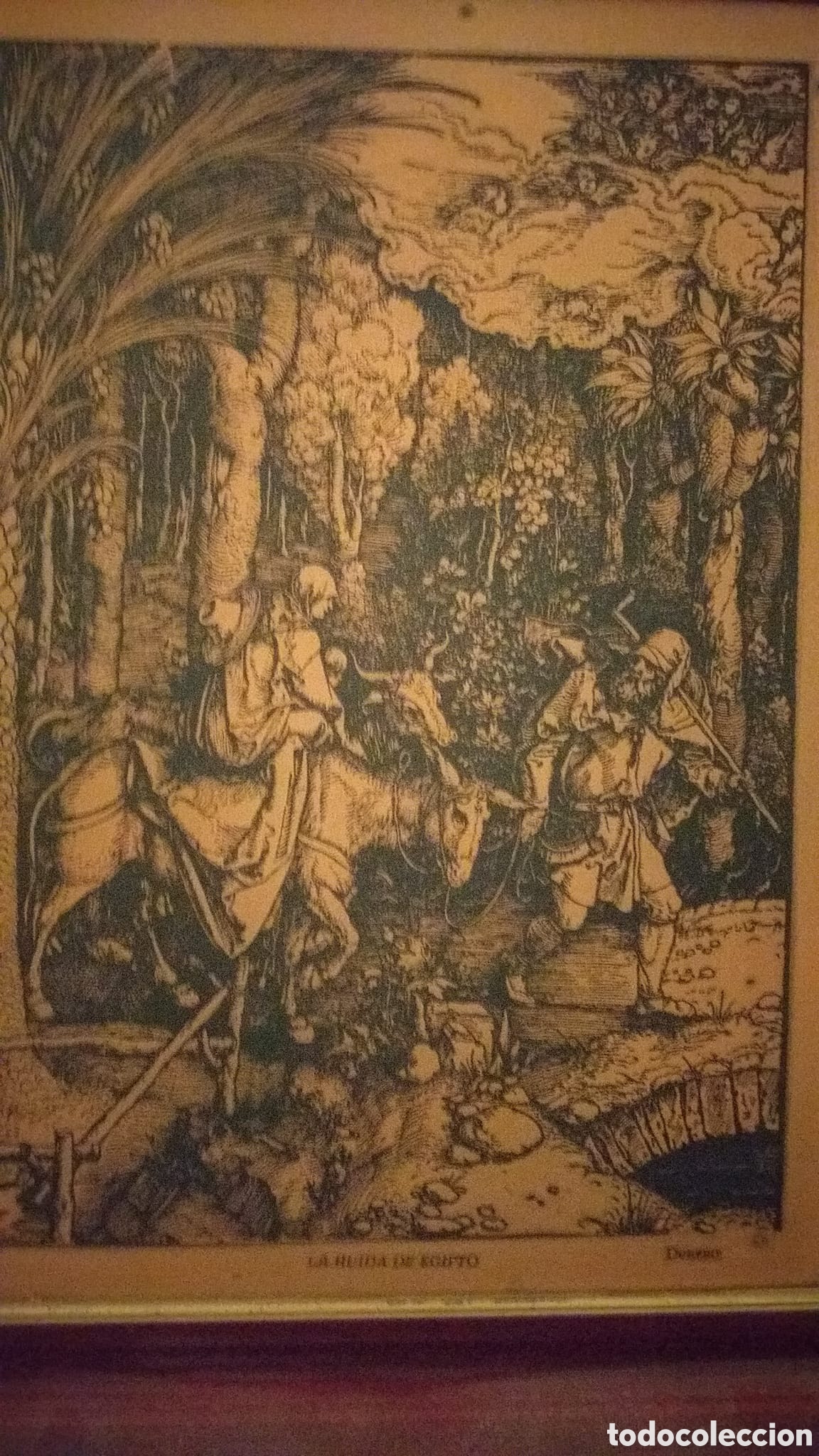 Arte: Grabado sobre cobre de Durero - Foto 2
