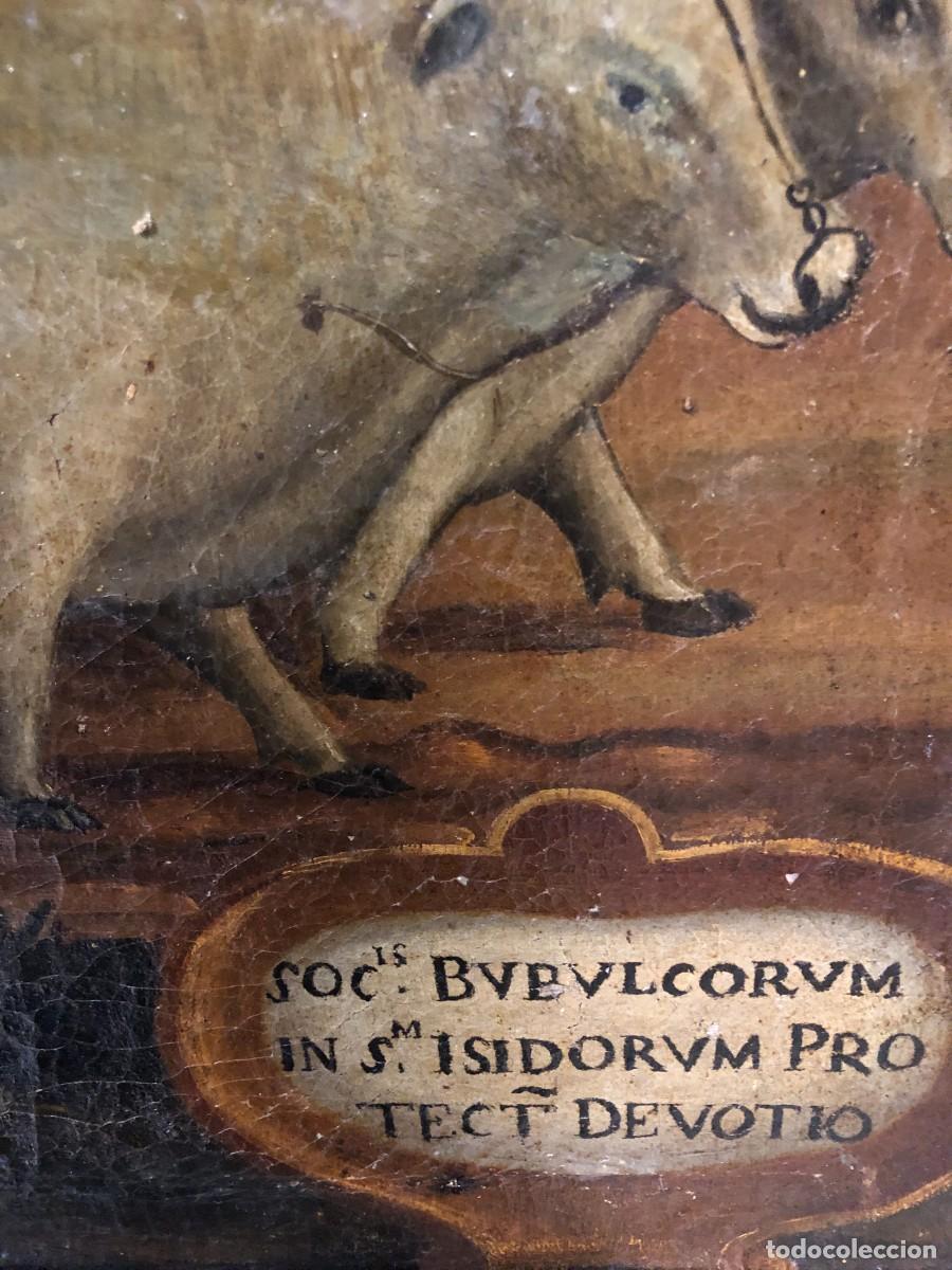 Arte: SAN ISIDRO, ESC. COLONIAL ,S. XVIII - Foto 13
