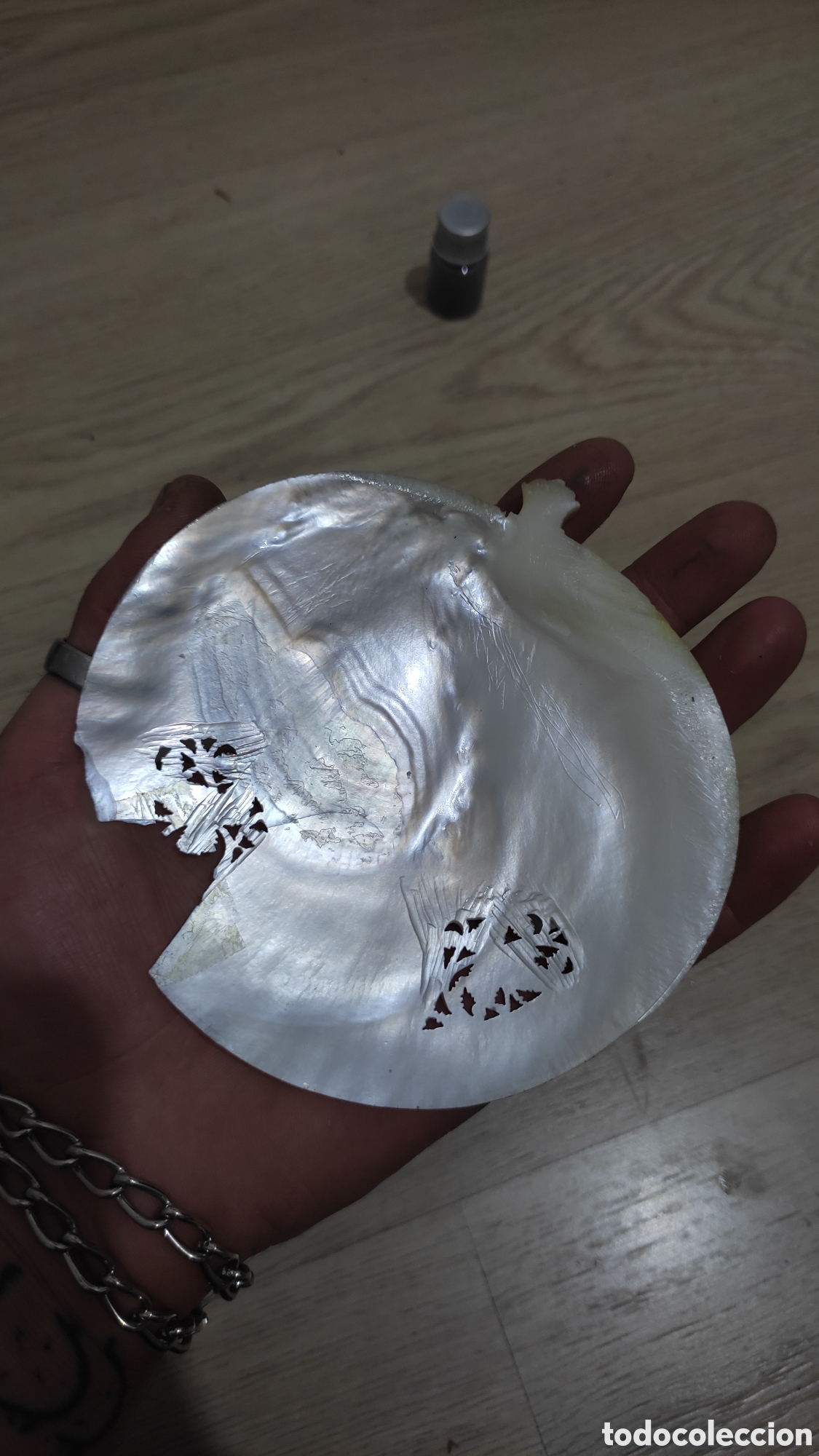 Arte: CONCHA DE N&Aacute;CAR TALLADA - Foto 3