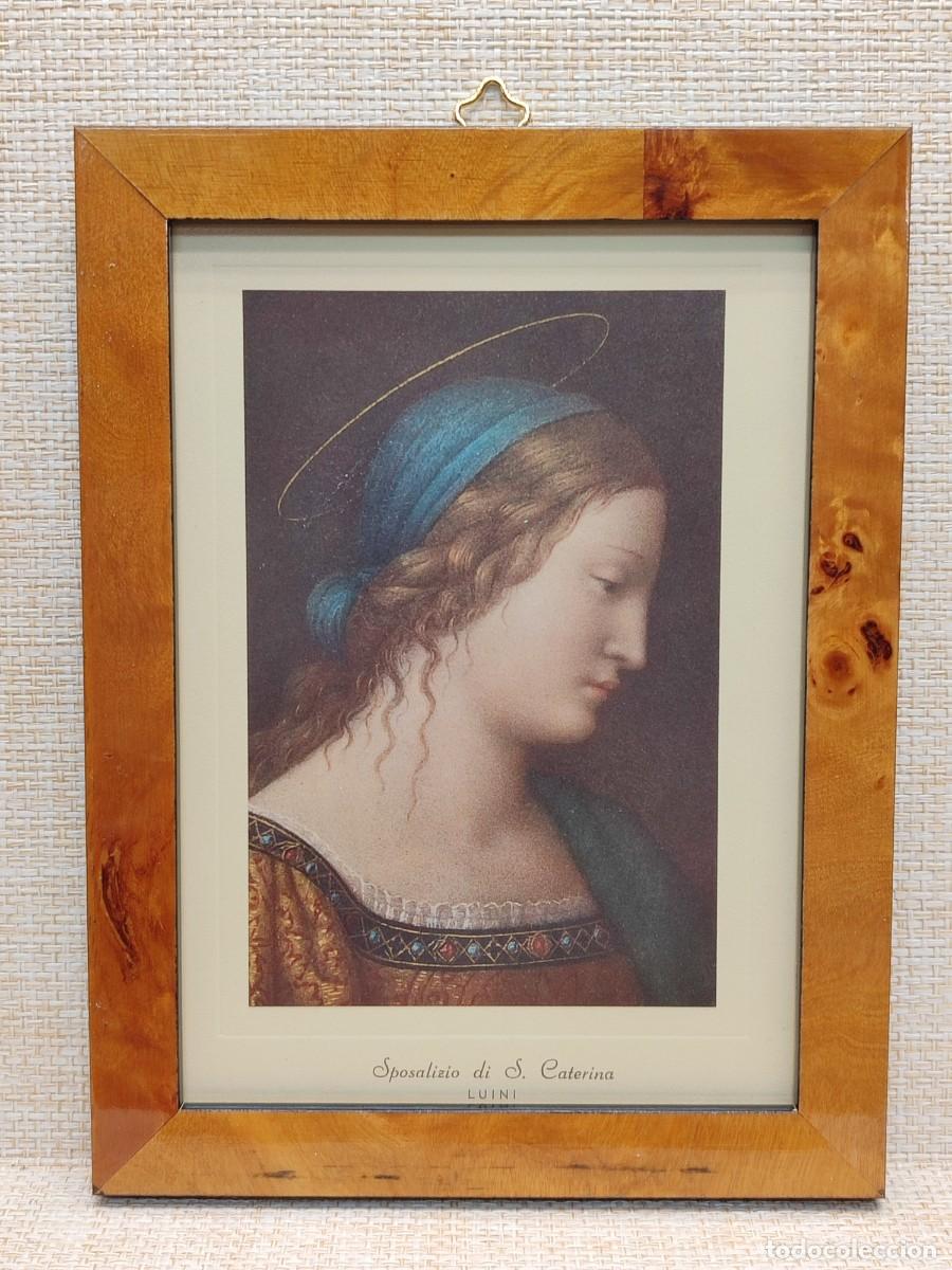 Arte: Sposalizio di Sta. Caterina de Bernardino Luini. Roberto Hoesch 1940, Cuadro