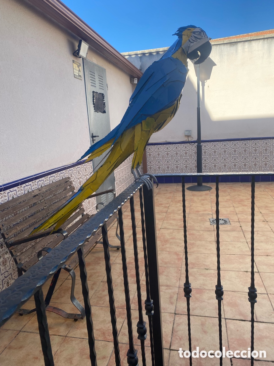 Arte: Guacamayo tama&ntilde;o real