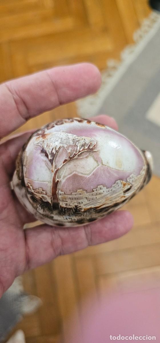 Arte: Espectacular talla en caracola Vesubio