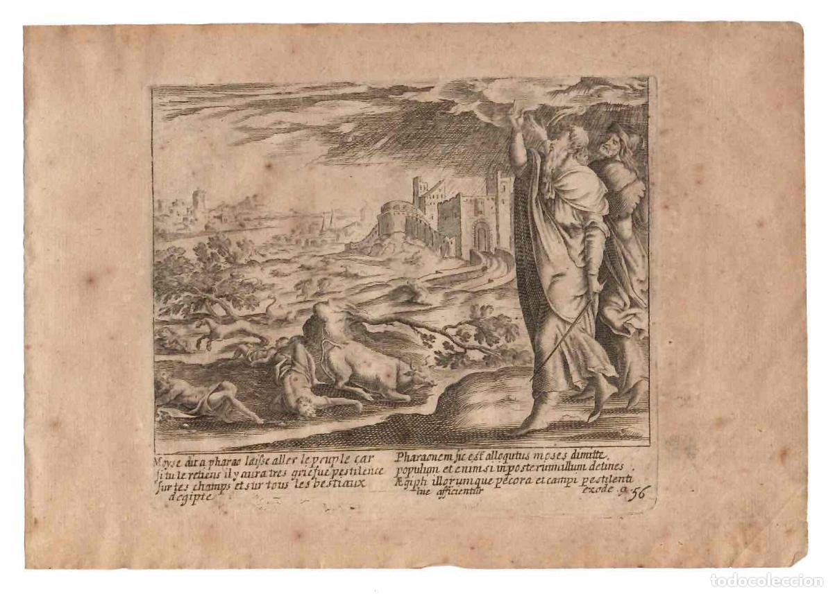 Arte: GRABADO RELIGIOSO SANTA BIBLIA. MOISES Y LAS PLAGAS DE EGIPTO. QUINTA PLAGA, MUERTE DEL GANADO 1670