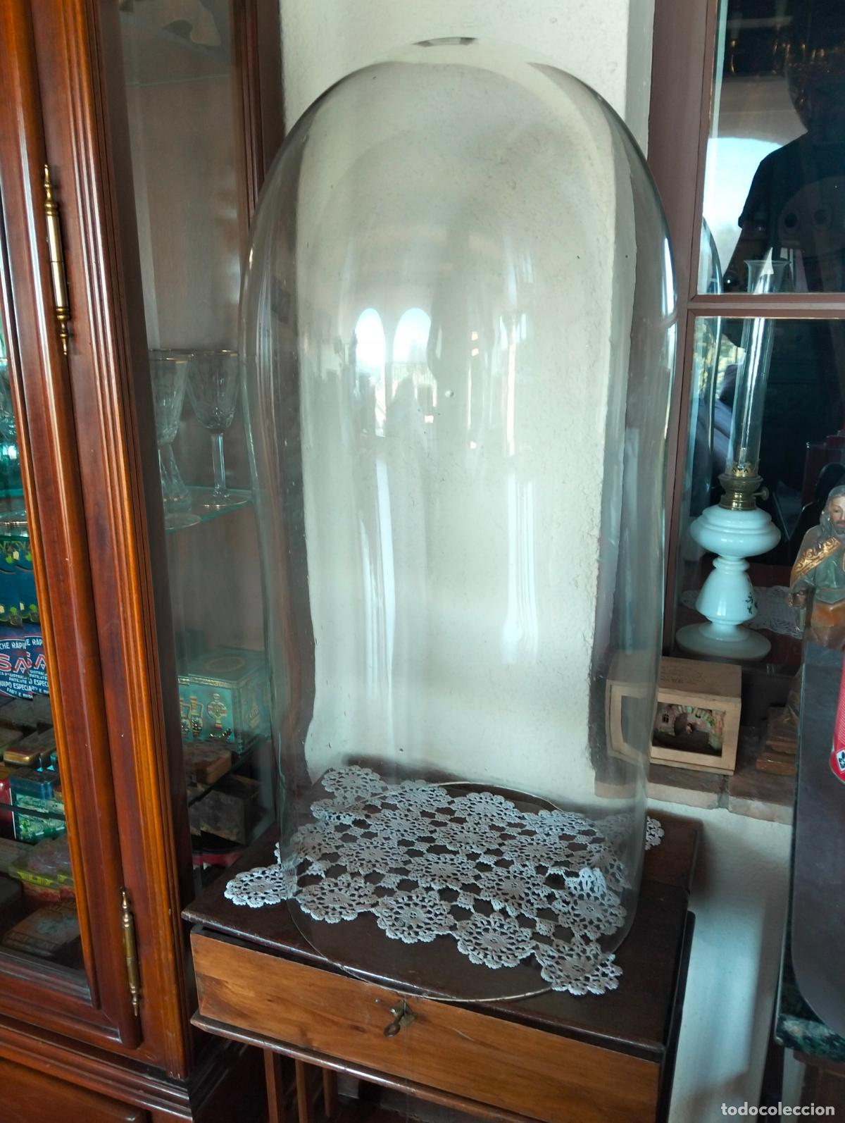 Arte: Urna c&uacute;pula vitrina fanal expositor para escultura religiosa antigua figura cristal soplad sin peana
