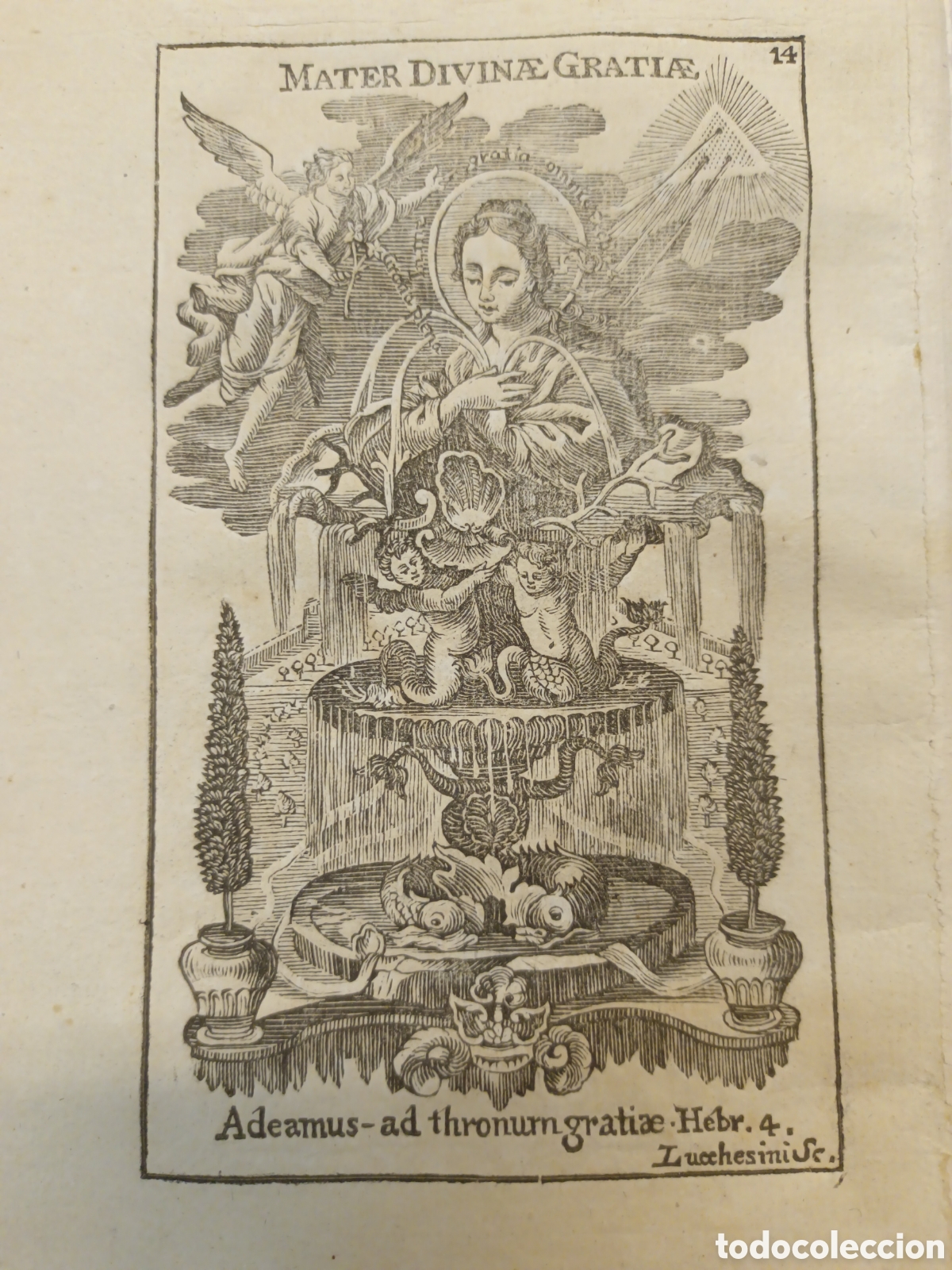 Arte: GRABADO - LETAN&Iacute;A DE LA VIRGEN - MATER DIVINA GRACIA - A&Ntilde;O 1768 - F.X. DORNN - 13 X 22 CM
