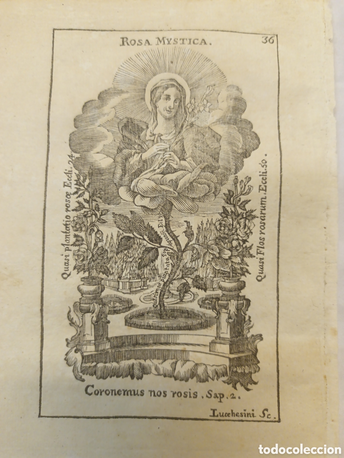 Arte: GRABADO - LETAN&Iacute;A LAURETANA DE LA VIRGEN - ROSA MYSTICA - A&Ntilde;O 1768 - GR. LUCCHESINI -13 X 22 CM