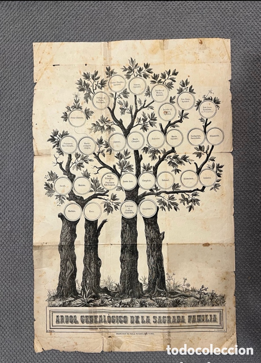 Arte: &Aacute;RBOL GENEAL&Oacute;GICO DE LA SAGRADA FAMILIA.. Francisco de Paula Puigdollers y Pou. LITOGRAF&Iacute;A