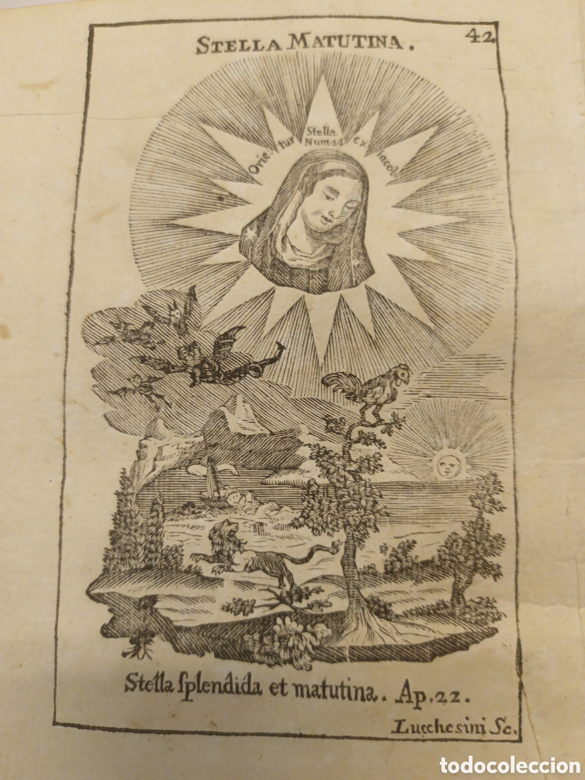Arte: GRABADO - LETAN&Iacute;A LAURETANA DE LA VIRGEN - STELLA MATUTINA - A&Ntilde;O 1768 - GR. LUCCHESIN - 13 X 22 CM