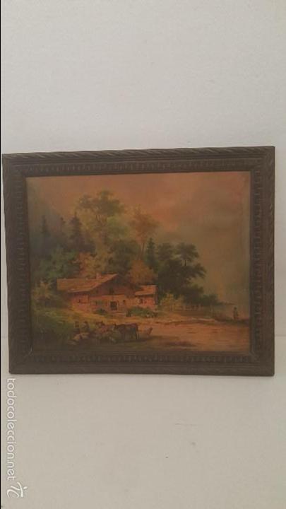 Arte: PAISAJE CAMPO - Foto 1