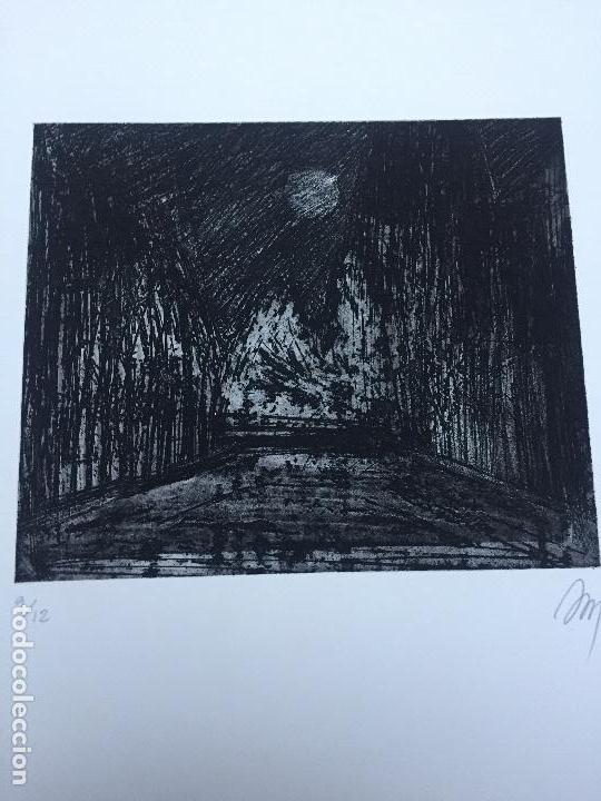 Arte: ANNA MIQUEL , SERIGRAFIA , 9/12 - Foto 2